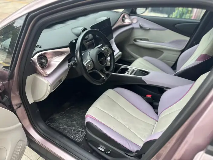 BYD Dolphin 2023 Model Fashion Edition – фото 8
