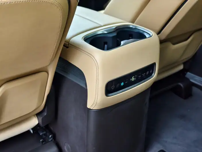 DENZA D9 DM 2024 Model 970 Luxury Model – фото 10