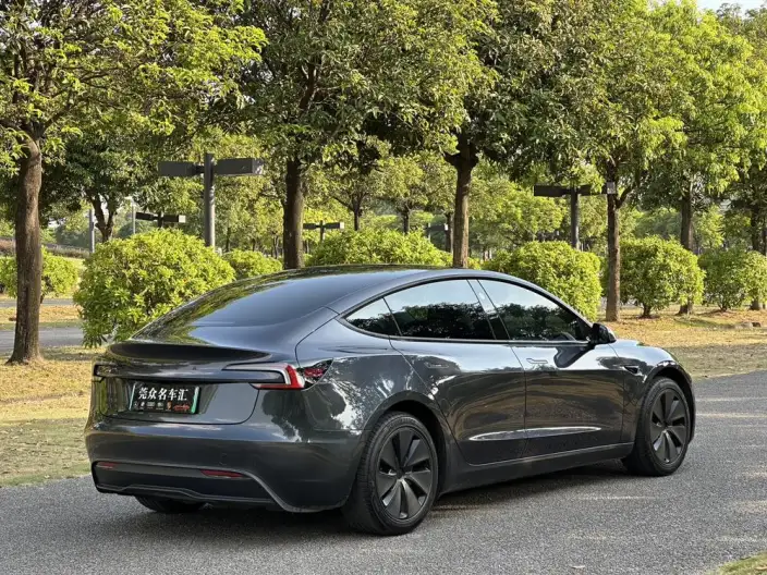 Model 3 2025 Model Rear-wheel drive version – фото 6