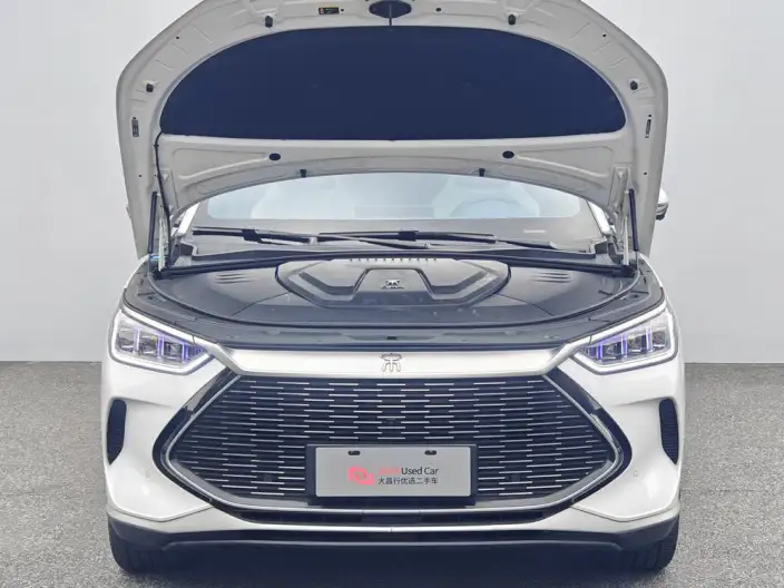 BYD Song PLUS DM 2021 Model DM-i 110KM 2WD Flagship Model – фото 6