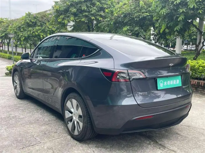 Model Y 2022 Model Rear-wheel drive version – фото 5