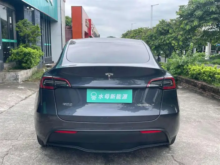 Model Y 2022 Model Rear-wheel drive version – фото 6