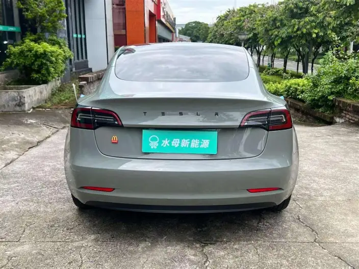 Model 3 2022 Model Rear-wheel drive version – фото 6
