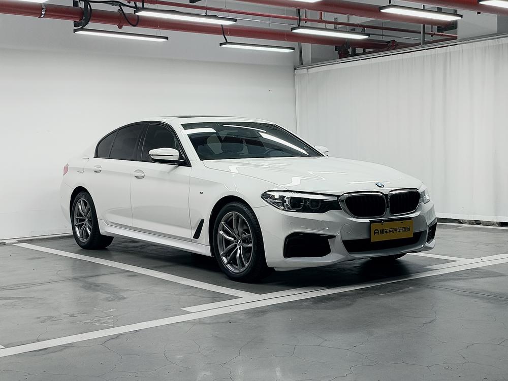 BMW 5 Series импорт Модель 2019 года комплектация 525i M Sports Set