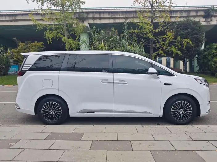 DENZA D9 DM 2025 Model Smart Driving Edition 1020 4WD Noble Model – фото 7
