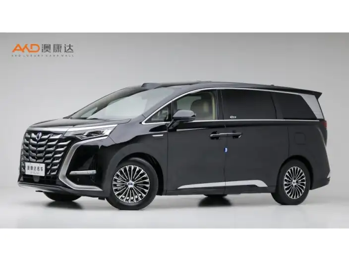 DENZA D9 DM 2025 Model Smart Driving Edition 1020 4WD Flagship Model