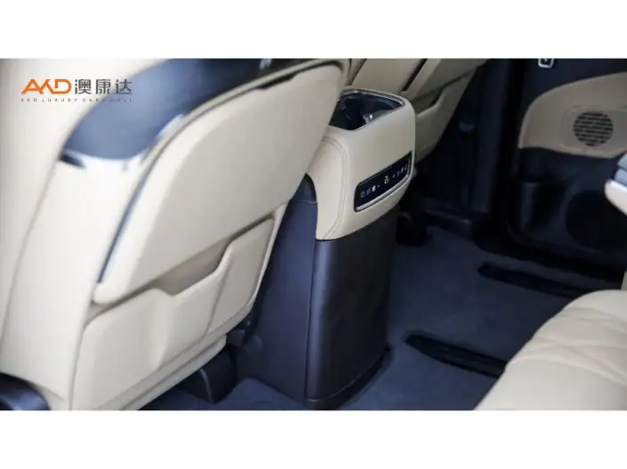 DENZA D9 DM 2025 Model Smart Driving Edition 1020 4WD Flagship Model – фото 5