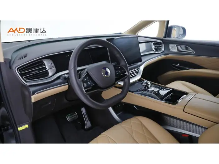 DENZA D9 DM 2025 Model Smart Driving Edition 1020 4WD Flagship Model – фото 7