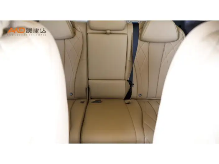 DENZA D9 DM 2025 Model Smart Driving Edition 1020 4WD Flagship Model – фото 9