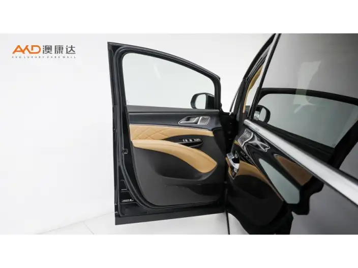DENZA D9 DM 2025 Model Smart Driving Edition 1020 4WD Flagship Model – фото 10