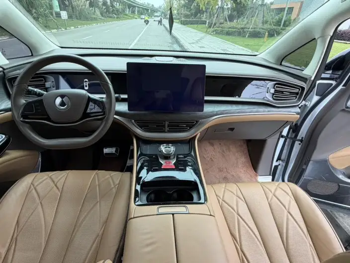 DENZA D9 DM 2022 Model 945 Luxury Model – фото 9