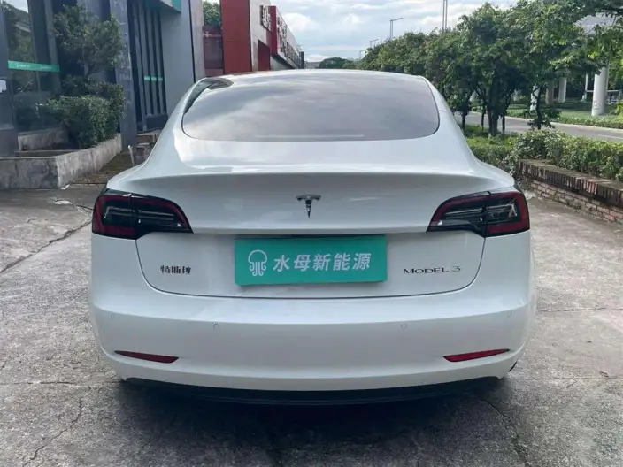 Model 3 2022 Model Rear-wheel drive version – фото 6