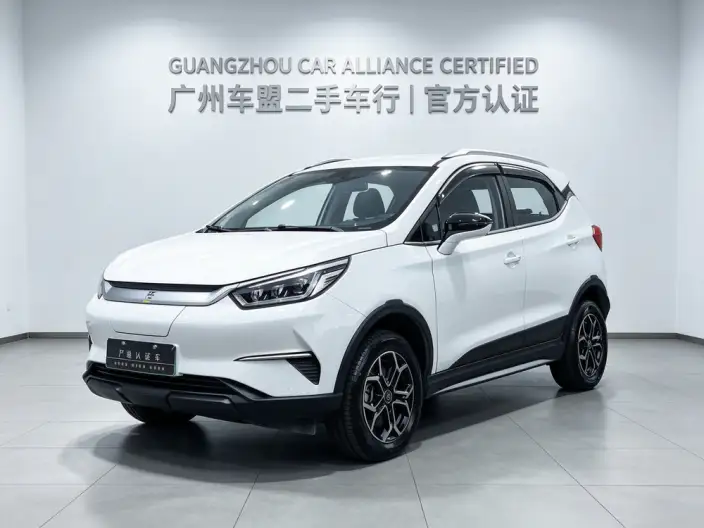 Yuan Pro 2021 Model 401KM Luxury Model
