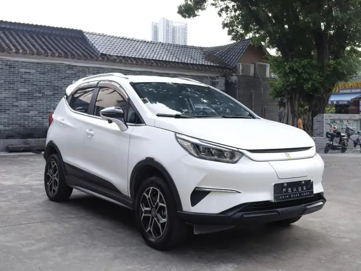 Yuan Pro 2021 Model 401KM Luxury Model