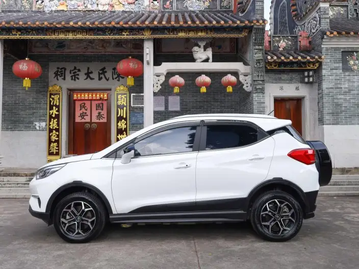 Yuan Pro 2021 Model 401KM Luxury Model