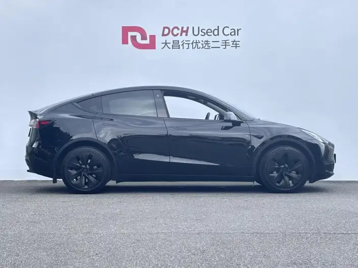 Model Y 2023 Model Long Battery Life Pro All-wheel drive version – фото 5