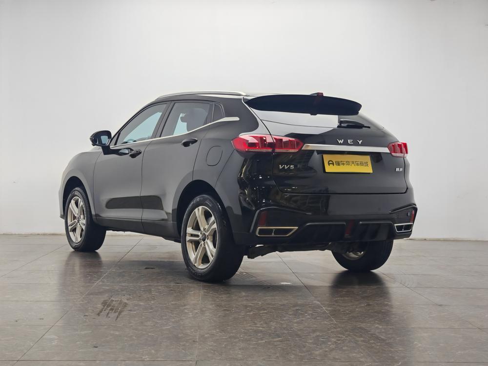 WEY VV5 2020 1.5T Trend Pioneer – фото 5