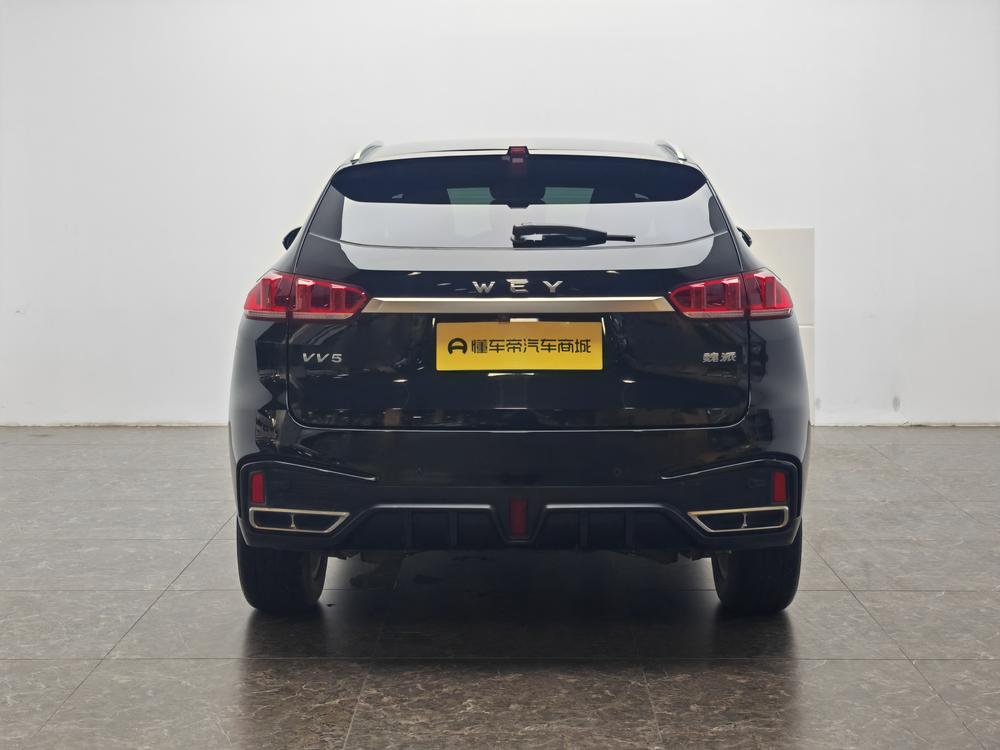 WEY VV5 2020 1.5T Trend Pioneer – фото 6