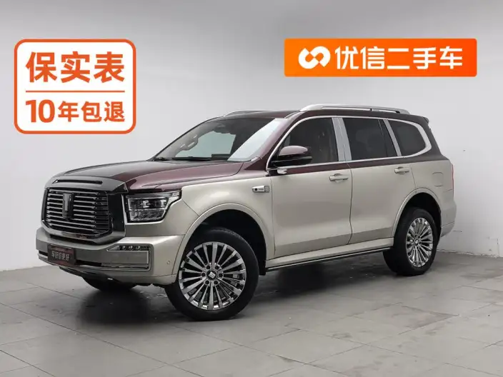 Tank 500 2022 Model Customized Edition 5 seat