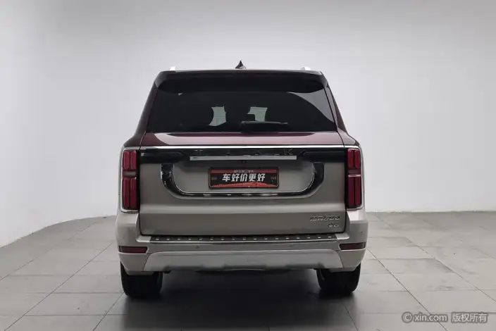 Tank 500 2022 Model Customized Edition 5 seat