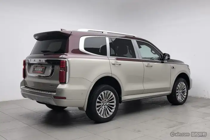 Tank 500 2022 Model Customized Edition 5 seat