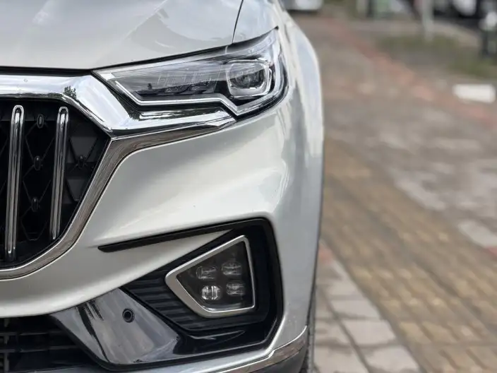Hongqi HS5 2022 Model Facelift 2.0T Smart Flag Enjoy 4WD Edition – фото 6