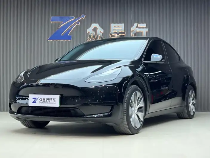 Model Y 2022 Model Rear-wheel drive version – фото 1