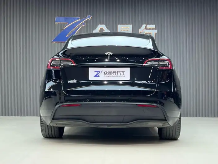Model Y 2022 Model Rear-wheel drive version – фото 3
