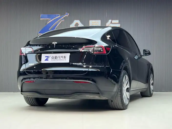 Model Y 2022 Model Rear-wheel drive version – фото 4