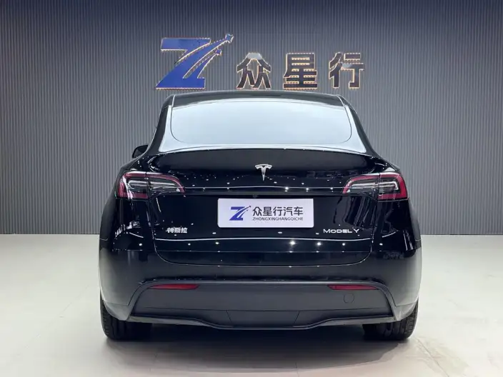 Model Y 2022 Model Rear-wheel drive version – фото 3