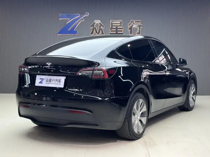 Model Y 2022 Model Rear-wheel drive version – фото 4