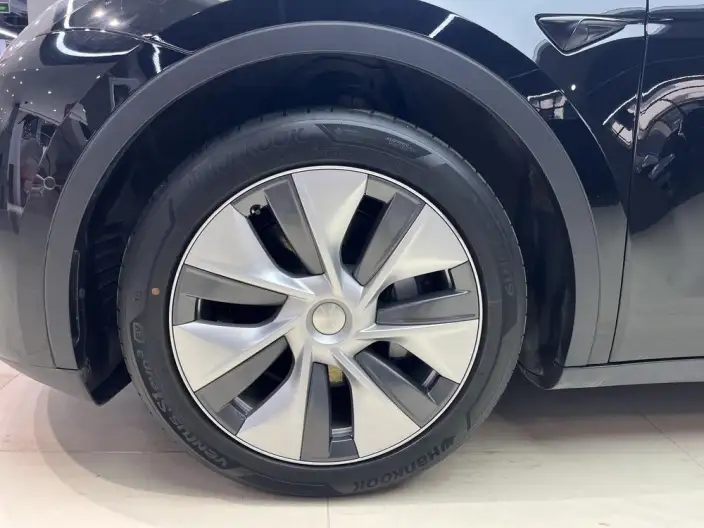 Model Y 2022 Model Rear-wheel drive version – фото 7