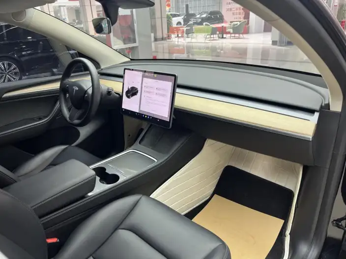 Model Y 2022 Model Rear-wheel drive version – фото 9