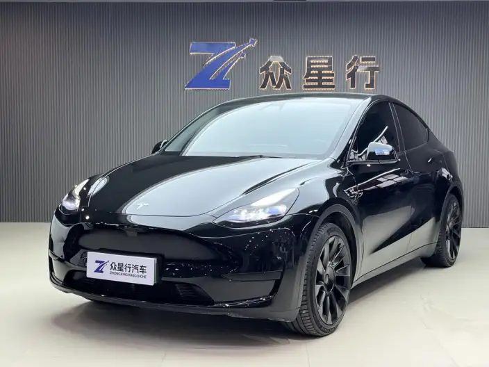 Model Y 2022 Model Rear-wheel drive version – фото 1