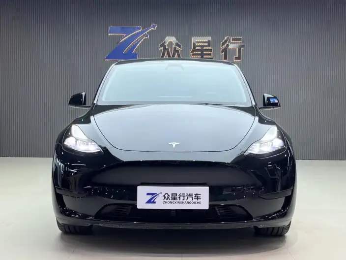 Model Y 2022 Model Rear-wheel drive version – фото 2