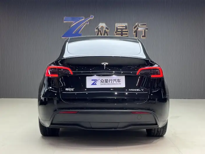 Model Y 2022 Model Rear-wheel drive version – фото 3