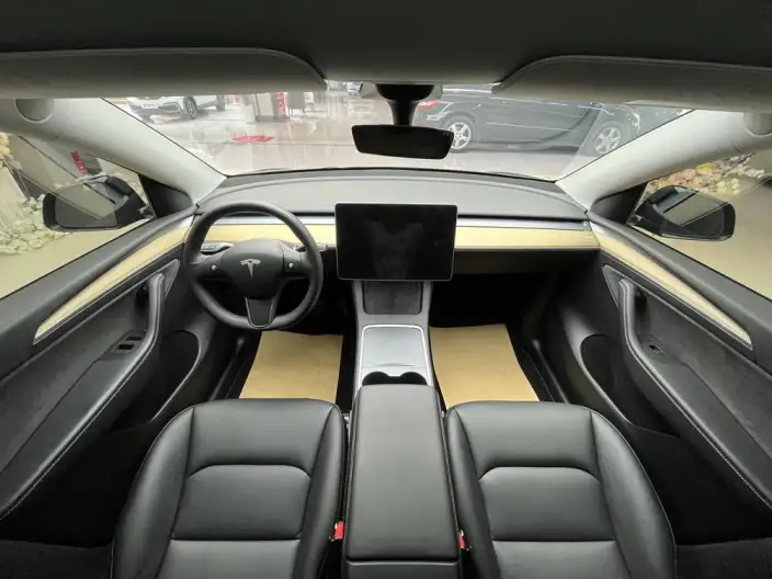 Model Y 2022 Model Rear-wheel drive version – фото 5