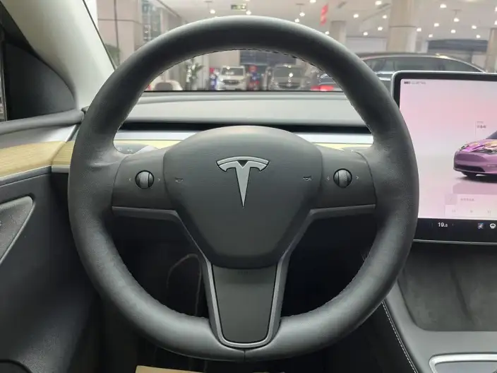 Model Y 2022 Model Rear-wheel drive version – фото 6