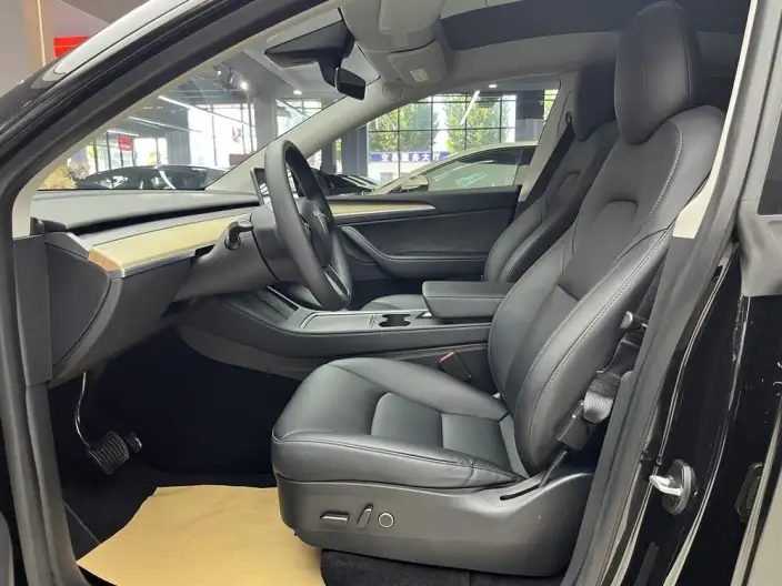 Model Y 2022 Model Rear-wheel drive version – фото 8