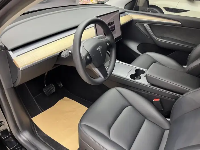 Model Y 2022 Model Rear-wheel drive version – фото 10
