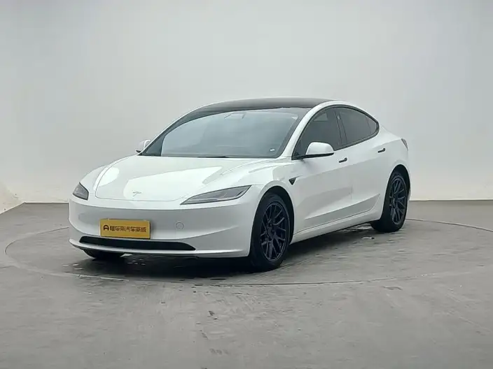 Model 3 2023 Model Long Battery Life Pro All-wheel drive version – фото 1