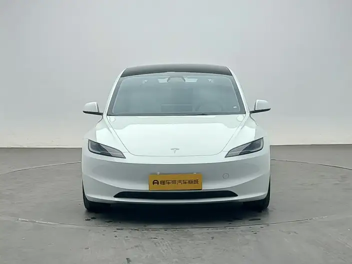 Model 3 2023 Model Long Battery Life Pro All-wheel drive version – фото 2