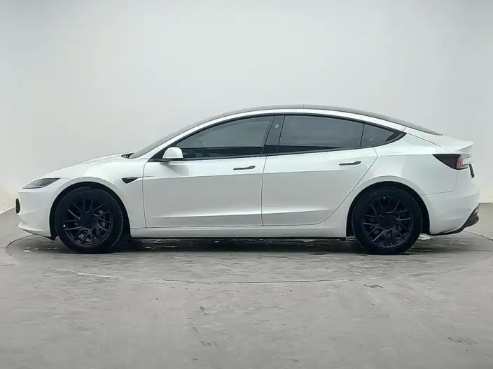 Model 3 2023 Model Long Battery Life Pro All-wheel drive version – фото 4