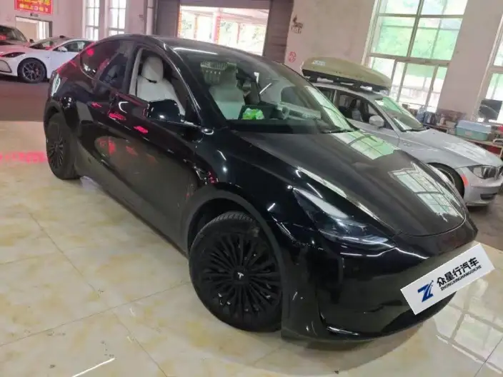 Model Y 2022 Model Facelift Rear-wheel drive version – фото 2