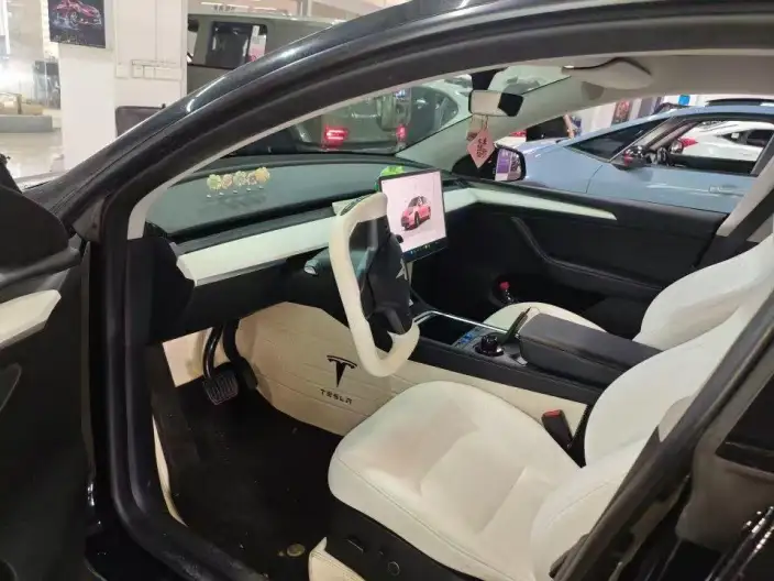 Model Y 2022 Model Facelift Rear-wheel drive version – фото 8
