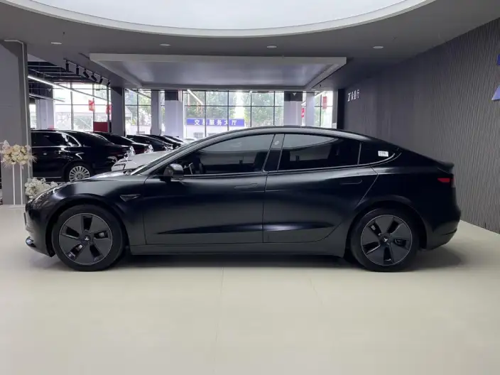 Model 3 2022 Model Rear-wheel drive version – фото 3