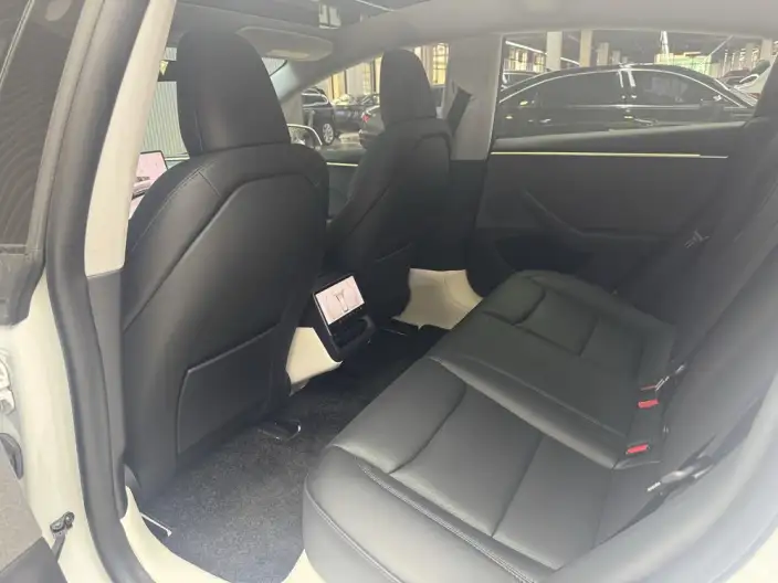Model 3 2023 Model Rear-wheel drive version – фото 8