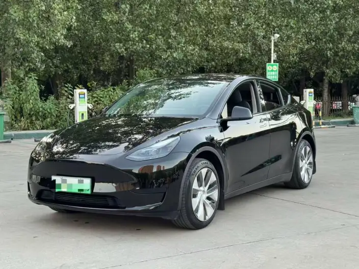 Model Y 2022 Model Facelift Rear-wheel drive version – фото 1