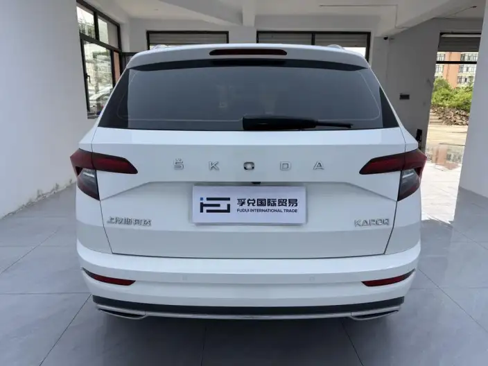 Karoq 2022 Model TSI280 Luxury Edition – фото 5