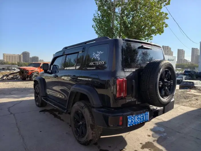 Tank 300 2025 Model 2.0T Gasoline Edition Challenger